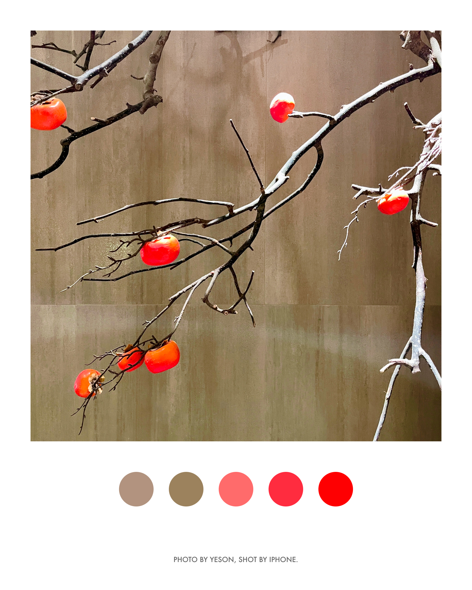 巴蜀风@深圳·万象天地