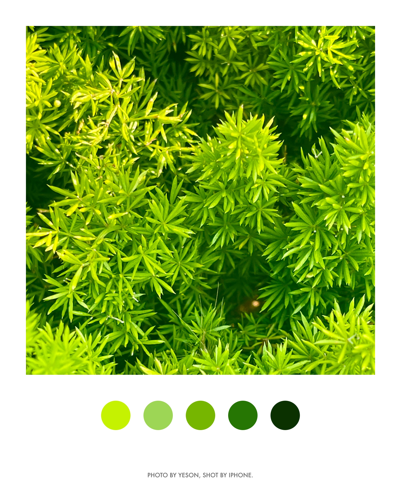 绿色@深圳欢乐港湾